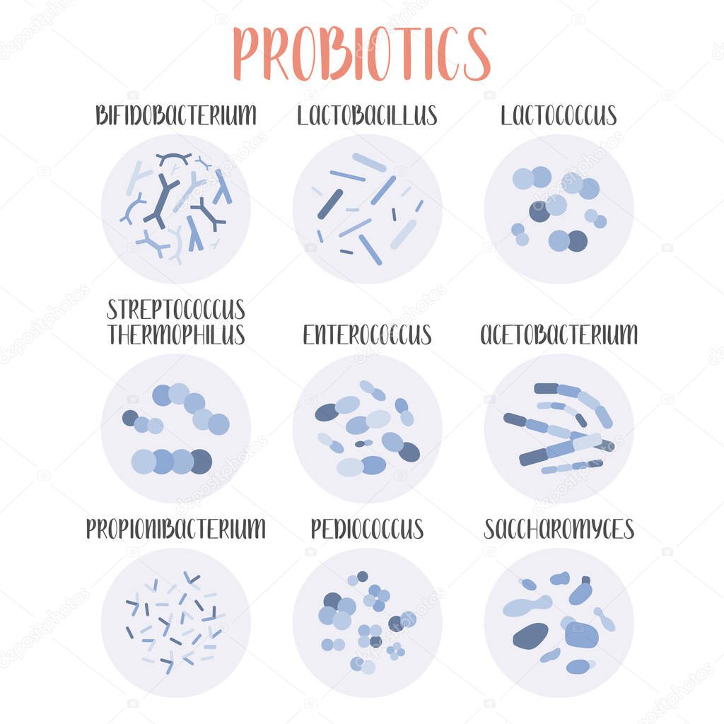 Probiotics. Lactic acid bacteria. Good bacteria and microorganisms for gut and intestinal flora health. Microbiome. Bifidobacterium, lactobacillus,  lactococcus, thermophilus streptococcus, propionibacterium. Vector big set