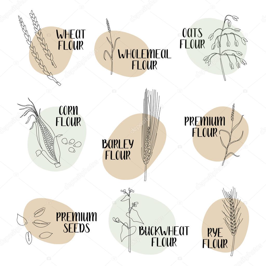 Logo flour. Different varieties of flour: wheat, rye, barley, oats, corn, buckwheat. Continuous line grain crops. Vector line art. Perfect for logo, packaging design, icon
