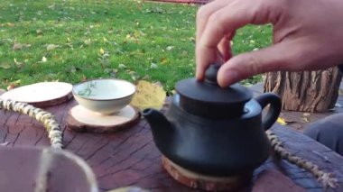 Doğada çay seremonisi