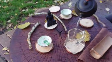The tea ceremony slow motion video on the nature