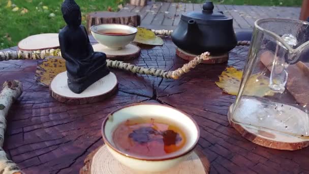 Tea Kávéfőző Ünnepség Természetről — Stock videók
