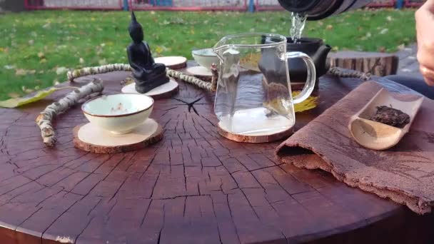 Ceremonia Herbaty Kawy Łonie Natury — Wideo stockowe