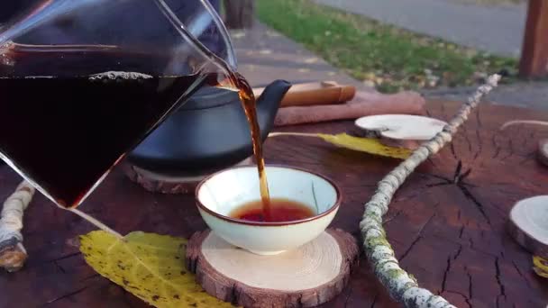 ชงชาและกาแฟในธรรมชาต — วีดีโอสต็อก