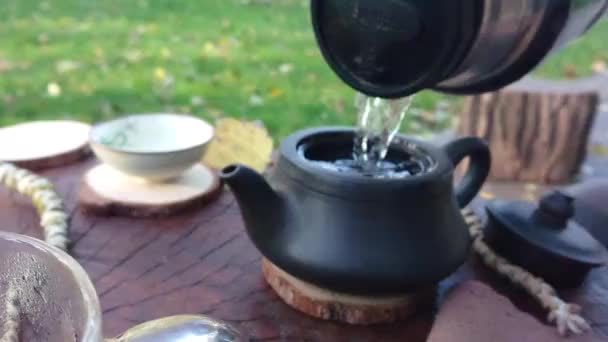 Ceremonia Ceaiului Despre Natură — Videoclip de stoc