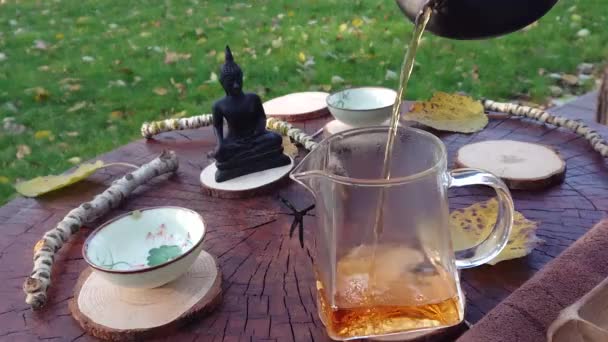 Чайна Церемонія Природі — стокове відео