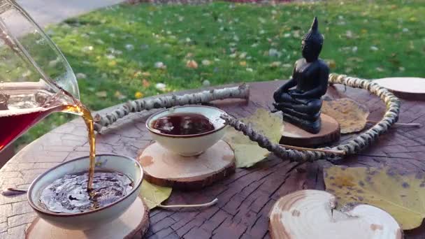 Tea Ceremony Videos Nature — Wideo stockowe