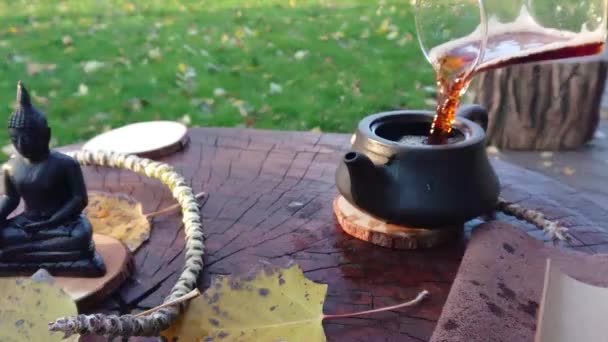 Slow Motion Tea Videos Tea Ceremony — Video Stock