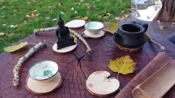 Tea Ceremony Tea Cup Tea Video — Wideo stockowe