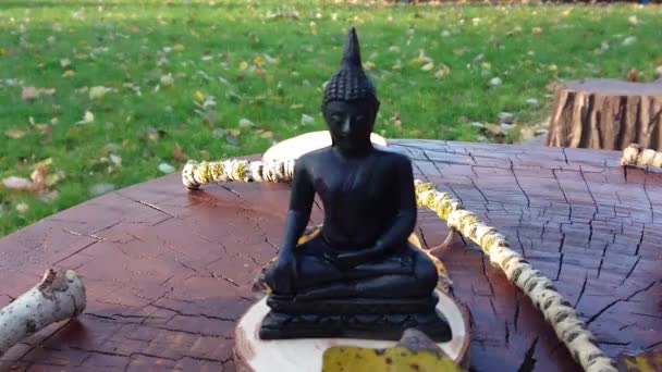 Çay Ustası Içki Seremonisi Meditasyonu — Stok video