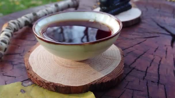 Τελετή Τσαγιού Στη Φύση Πιες Τσάι Και Χαλάρωσε — Αρχείο Βίντεο