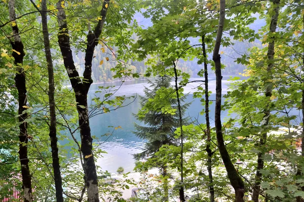 Paisaje con un fondo de lago de montaña —  Fotos de Stock