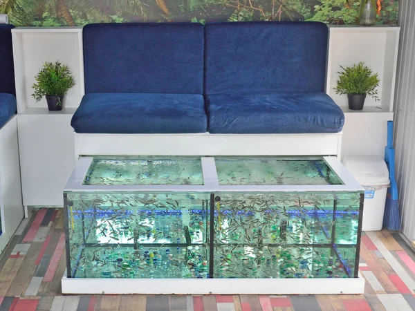 Cabinet for fish-pilling small fish Garra Rufa