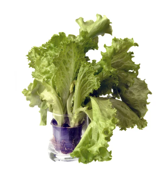 Salada verde em um pote i — Fotografia de Stock