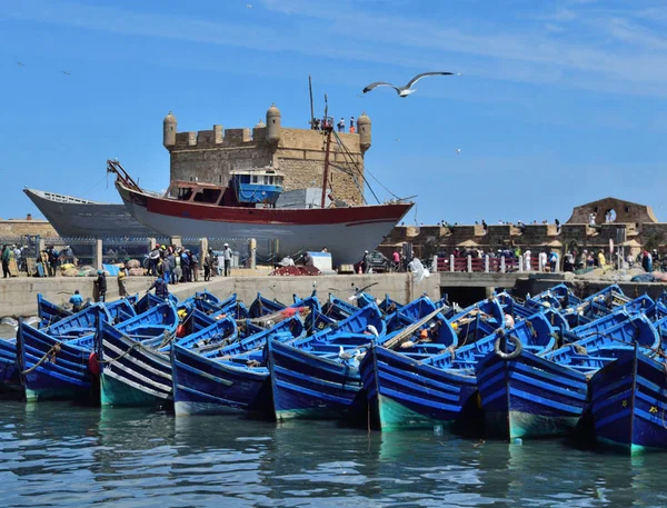Łodzie rybackie w porcie morskim Essaouira w Maroko — Zdjęcie stockowe