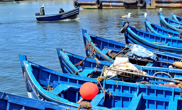 Balıkçı tekneleri kıyıya demirlemiş — Stok fotoğraf