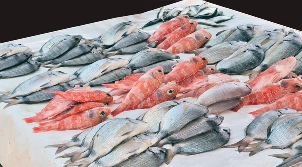 Venta de pescado recién capturado en el mercado —  Fotos de Stock