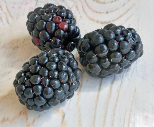 Three fresh ripe blackberry berries macro — Stock Photo, Image