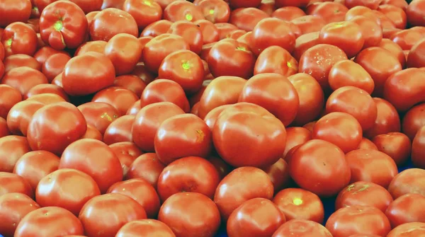 Rijpe rode tomaten achtergrond — Stockfoto