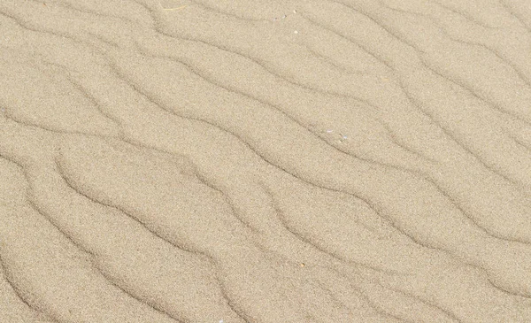 Sfondo dune di sabbia — Foto Stock