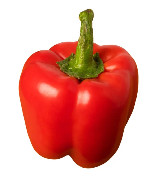 Röd Bell Pepper Vit Bakgrund — Stockfoto