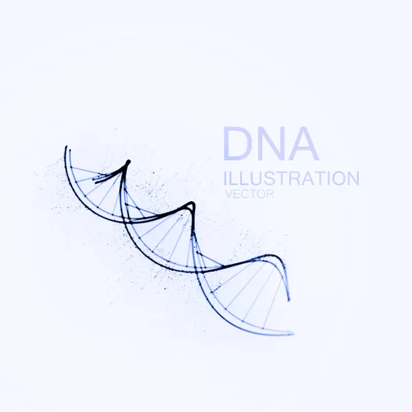 DNA chain vector illustration. — Stock Vector