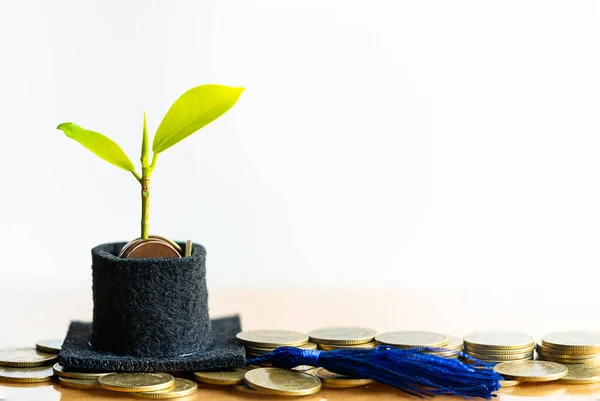 Chapéu Graduação Com Pequena Árvore Fábrica Dinheiro Moedas Poupar Dinheiro — Fotografia de Stock
