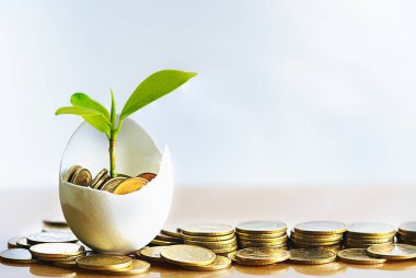 Hatched egg and coins with small plant tree. Pension fund, 401K, Strategies and plan for passive income. Saving money and investment. Risk management for business growth. Manage money in retirement. clipart