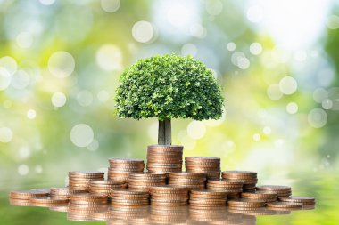 Young plant grow and coins stack, Pension fund, 401K, Passive income, Investment and retirement concept. savings and Business investment growth concept. Risk management. clipart
