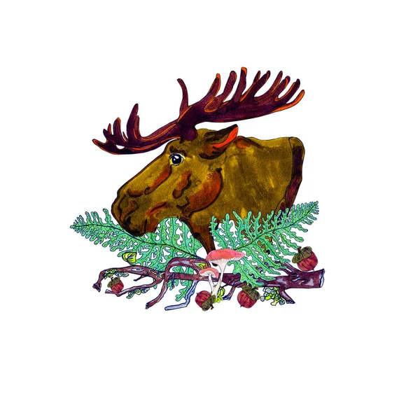 Σύνθεση Εικονογράφησης Δασικό Στυλ Απομονωμένη Moose Μανιτάρια Λουλούδια Φύλλα Σιτάρι — Φωτογραφία Αρχείου