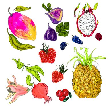 Beyaz arka planda izole edilmiş farklı tropikal meyveler. Sebzeli ananas, incir, dut, çilek, nar, mango, ejderha meyvesi, kızılcık, ambalaj için ahududu. Kartlar, tasarımcılar. giysi, mobilya, iç mekan, 
