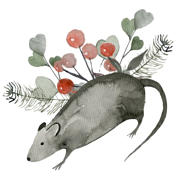 Modèle pour cartes postales de plantes et de rats — Photo
