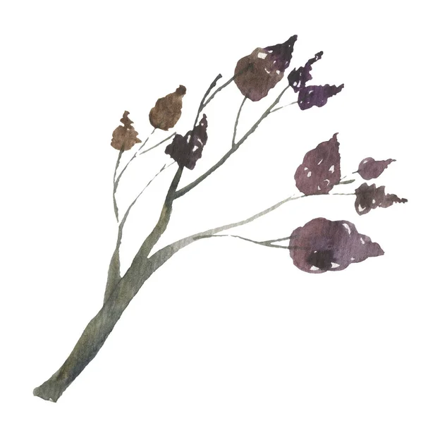 Set van met de hand getekende winterplanten - poinsettia, maretak, sparren hulst. schets illustratie. — Stockfoto