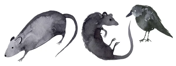 Sada roztomilých kreslených myší. sbírka akvarelů myši. — Stock fotografie