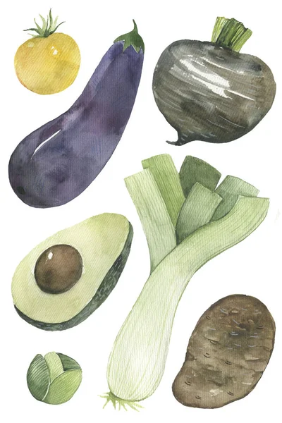 Illustratie van groenten op een witte achtergrond — Stockfoto