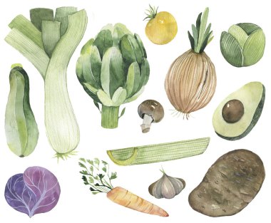 Sebzeler çizilmiş sulu boya lekeleri ve balkabağı, pancar, biber ve salatalık lekeleri.