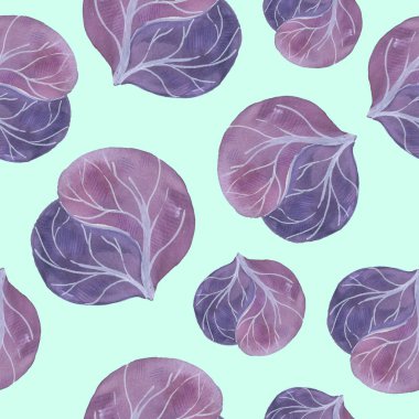 Çizim tarzında kırmızı lahanalar. Tasarımınız için suluboya çizimi.