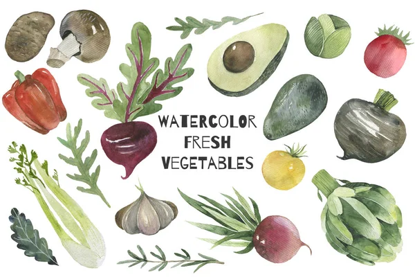 Various kind of vegetables illustration mushroom, potato, beetroot, avocado — Stock Photo, Image
