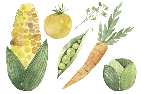 Verse plantaardige organische voedsel set stilleven geïsoleerd op witte achtergrond illustratie. — Stockfoto
