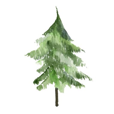 Noel ağacı suluboya ikonu. Yeni Yıl Noel ağacı koleksiyonu Habercileri, çizgili Noel çamı.