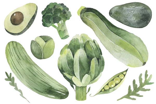 Ontwerp set groene groenten 1. radijs, prei, erwten, arugula, peterselie — Stockfoto