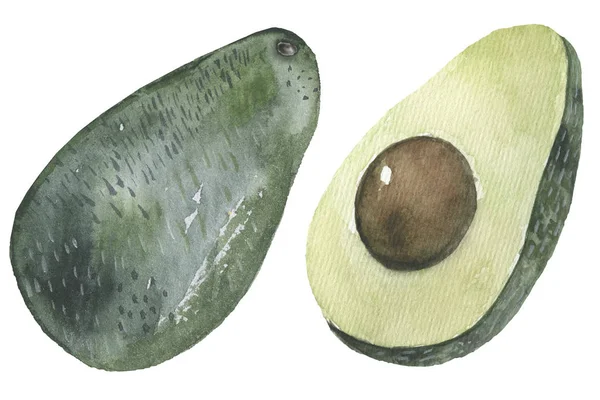 Icona ad acquerello di avocado. Frutto verde nel design piatto . — Foto Stock