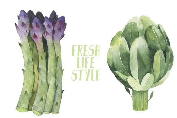 Pianta illustrata fresca verde asparago Spears pianta illustrata — Foto Stock