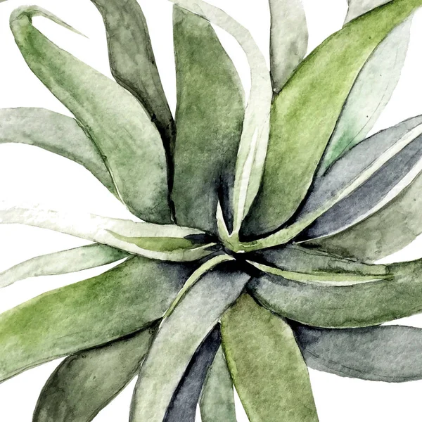 여름의 독특 한 정글 식물 인 열 대 야자나무 잎이다. 패턴, 검은 흰색의 기하학적 배경에 바다없는 꽃. 자연 벽지. — 스톡 사진