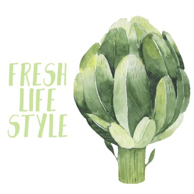 Taze Yeşil Kuşkonmaz Mızraklı Resimli Bitki Resimli Bitki