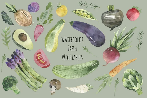 Vegetariánská bezešvá sada. Akvarel s detailní ručně malovanou zeleninou. Zdravé potraviny čisté jíst výběr zeleniny superfood — Stock fotografie