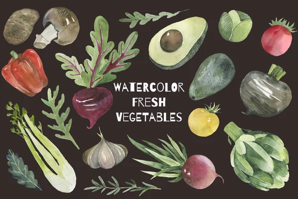 Watercolor vegetables set with cabbage, brussels sprouts, artichokes, asparagus and broccoli — Stock Photo, Image