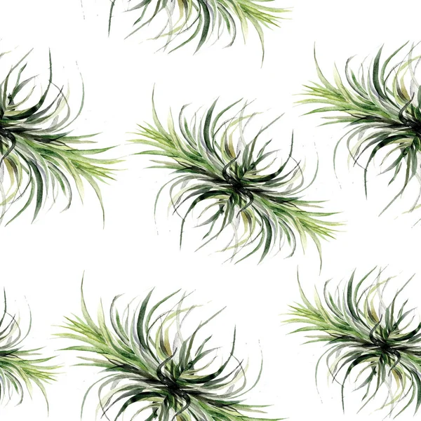 Imprimir hojas de palma tropical de plantas de selva exóticas de verano. Patrón, floral sin costuras sobre el fondo geométrico blanco negro . —  Fotos de Stock