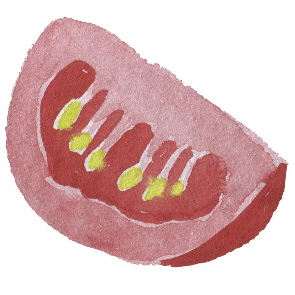 Pomidor i plasterek realistyczne pojedyncze ilustracje żniwa, zdrowie — Zdjęcie stockowe