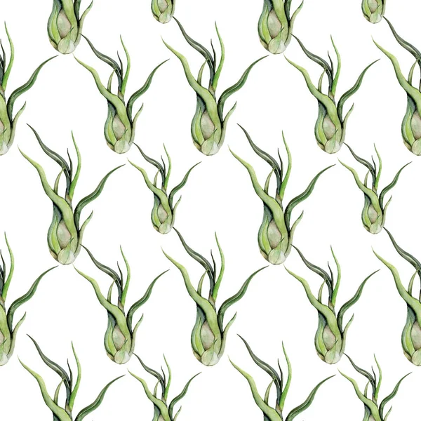 Fyra tropiska blad. Handritade blad illustration i akvarell. — Stockfoto