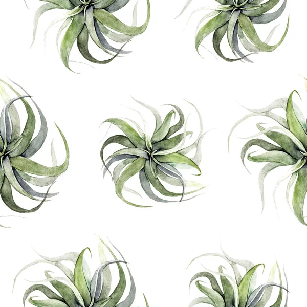 Aquarelle feuilles de palmier tropical motif sans couture. illustration. branche, tendance, textile, forêt, tissu, banane, blanc, emballage, forêt tropicale — Photo